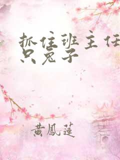 抓住班主任的两只兔子