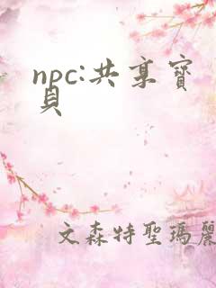 npc:共享宝贝
