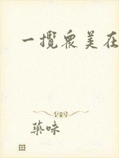 一揽众美在三国