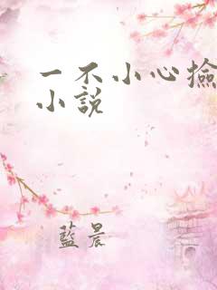 一不小心捡到爱小说