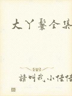 大丫鬟全集