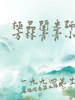 极品开光师李南方林青青小说免费阅读