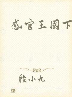感官王国下载