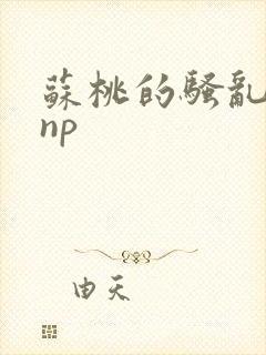 苏桃的骚乱文肉np