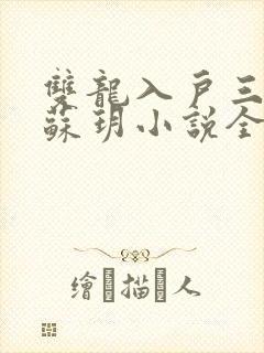 双龙入户三人行苏玥小说全文阅读