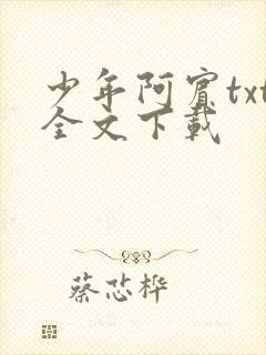 少年阿宾txt全文下载