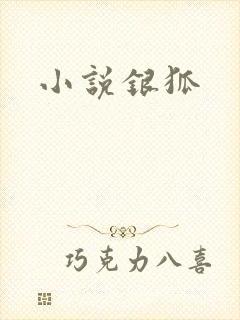 小说银狐