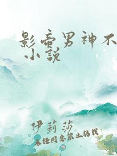 影帝男神不节制 小说