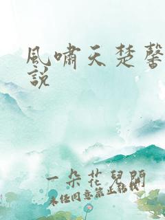 风啸天楚馨月小说