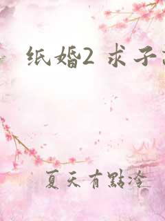 纸婚2 求子记