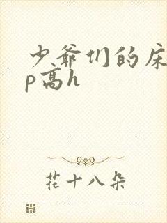 少爷们的床奴np高h