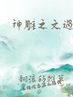 神雕之文过是非