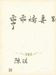 乖乖娇妻 别闹了