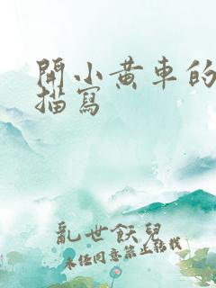 开小黄车的细腻描写