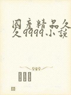 国产精品久久久久9999小说