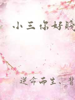 小三你好贱下载