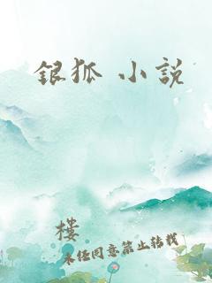 银狐 小说