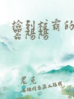 捡到校霸的遥控器阳阳