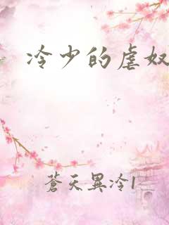 冷少的虐奴