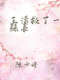 王涛救了一个女县长