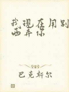 我现在用别的东西弄你