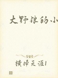 大野狼的小猫咪