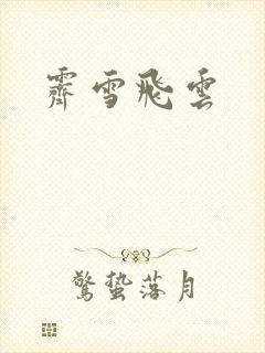 霁雪飞云