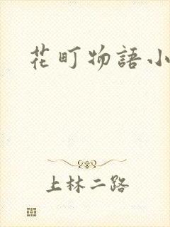 花町物语小说