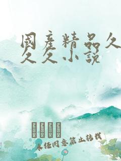 国产精品久久久久久小说