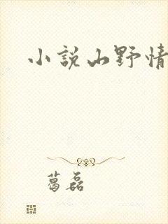 小说山野情债