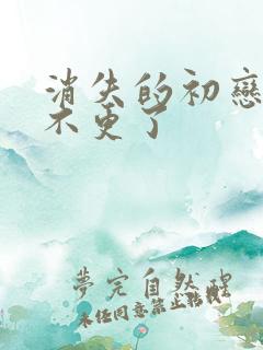 消失的初恋为啥不更了