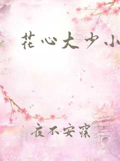 花心大少小说