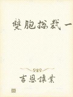 双胞总裁一个妻