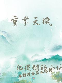 重掌天机