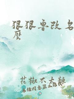 狠狠鲁改名是什么