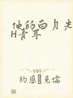 他的白月光HVH青耳