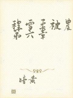 程雪柔被农民工第六章