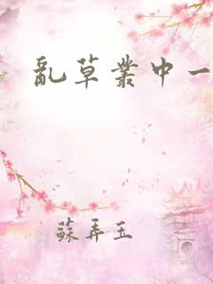 乱草丛中一杆枪