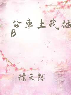 公车上我插上骚B