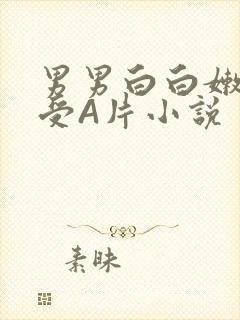 男男白白嫩嫩小受A片小说