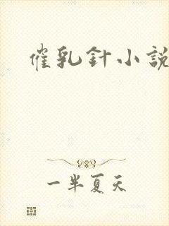 催乳针小说