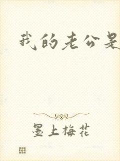 我的老公是魔王