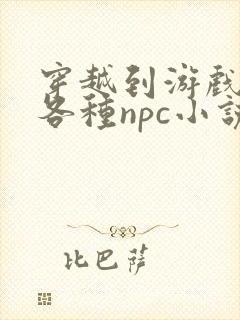 穿越到游戏里和各种npc小说