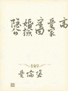 隐婚蜜爱高冷老公捡回家