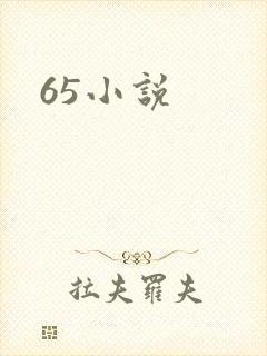 65小说