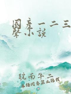 国产一二三区有声小说