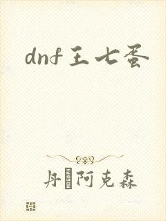 dnf王七蛋