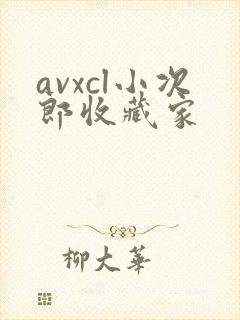 avxcl小次郎收藏家