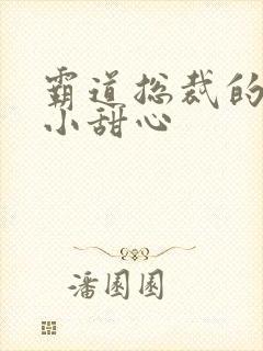 霸道总裁的宠爱小甜心