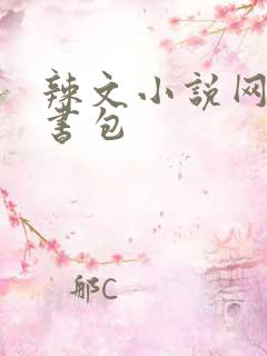 辣文小说网第二书包